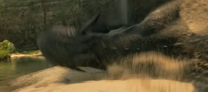 A dragon skidding across the sand in a cloud of sand